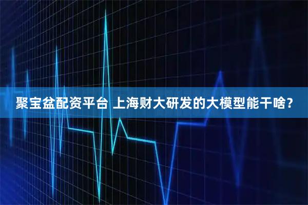 聚宝盆配资平台 上海财大研发的大模型能干啥？